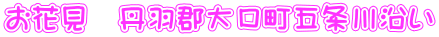 お花見　丹羽郡大口町五条川沿い
