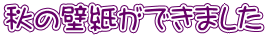 秋の壁紙ができました